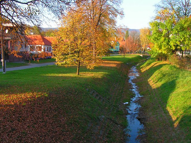 Čaradice