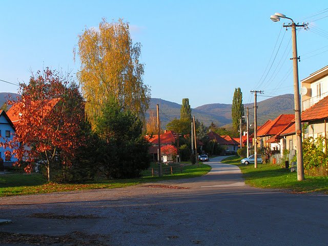 Čaradice
