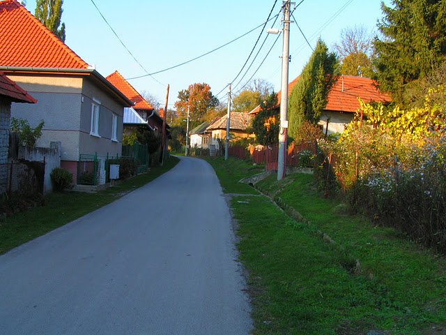 Čaradice