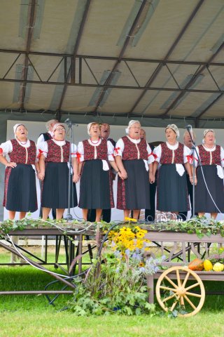 Folklórny festival 2016