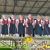 Folklórny festival 2016